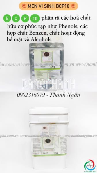 BCP10 men vi sinh xử lý chất hoạt động bề mặt 