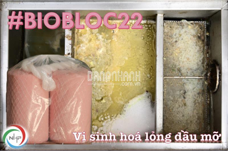 BIOBLOC22 men vi sinh dạng khối xử lý dầu mỡ trong đường hố thu, bẫy mỡ