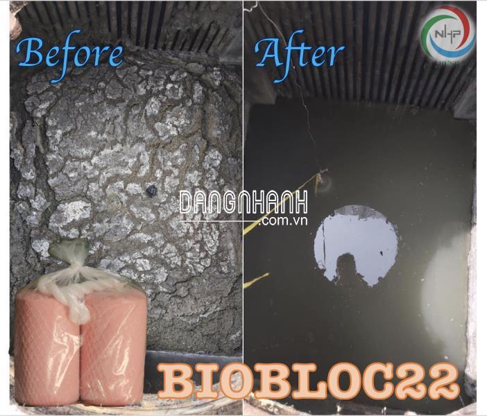 BIOBLOC22 men vi sinh dạng khối xử lý dầu mỡ trong đường hố thu, bẫy mỡ