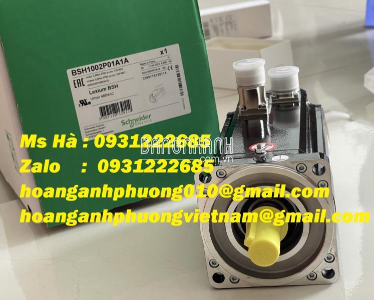 Nhập động cơ mới 100% dòng Schneider BSH1002P01A1A 