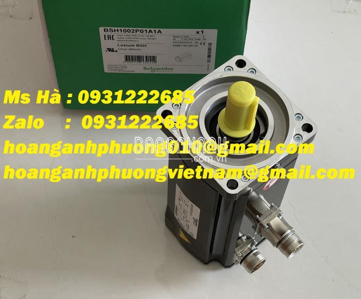 Nhập động cơ mới 100% dòng Schneider BSH1002P01A1A 