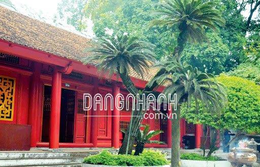 Cây vạn tuế