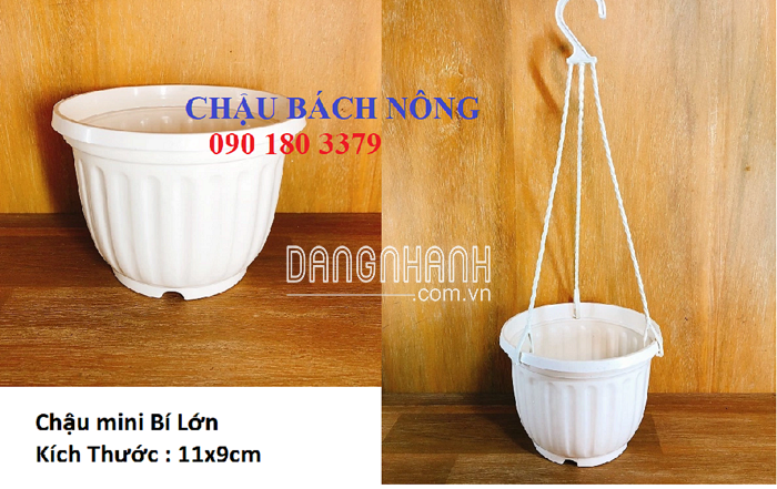 CHẬU LÀM HOA GIẤY