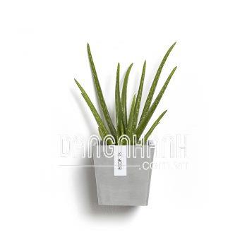 Chậu nhựa trồng cây treo tường Ecopots Manhattan S