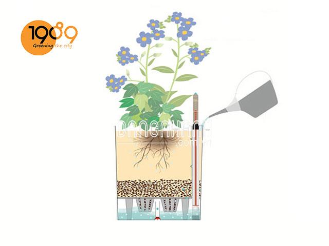 Chậu Thông Minh Tự Tưới Vuông Bầu