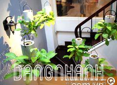 Chậu Treo Ngược 18cmx13cm ( Loại Lớn )