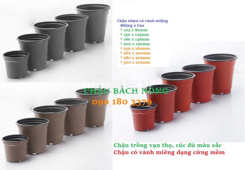CHẬU NHỰA TRỒNG HOA TẾT