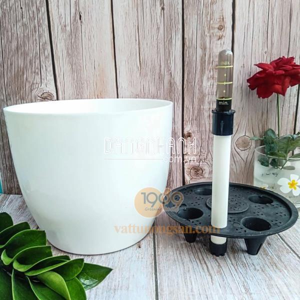 Chậu Trồng Cây Tự Dưỡng 18.5x16cm 