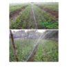 DÂY TƯỚI PHUN MƯA MD SPRAY PHI 32MM