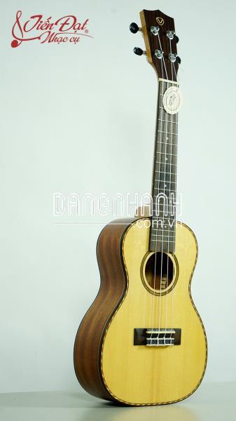 ĐÀN UKULELE VALOTE VA-24M02