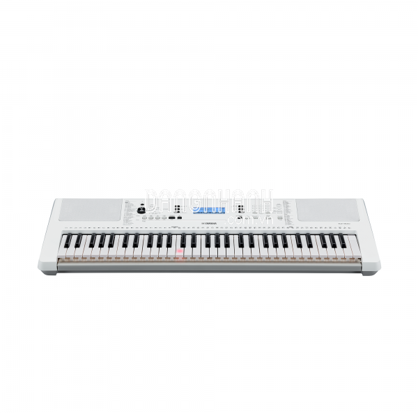 Đàn organ EZ-300