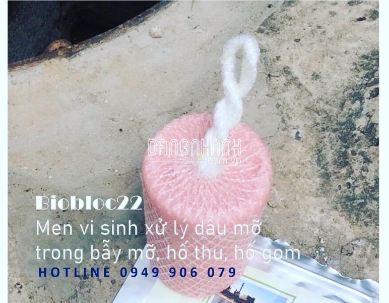 BIOBLOC22 men vi sinh dạng khối xử lý dầu mỡ trong đường hố thu, bẫy mỡ