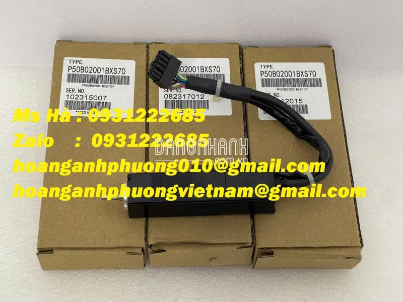 Động cơ Sanyo denki P50B02001BXS70 nhỏ gọn, tiện lợi 