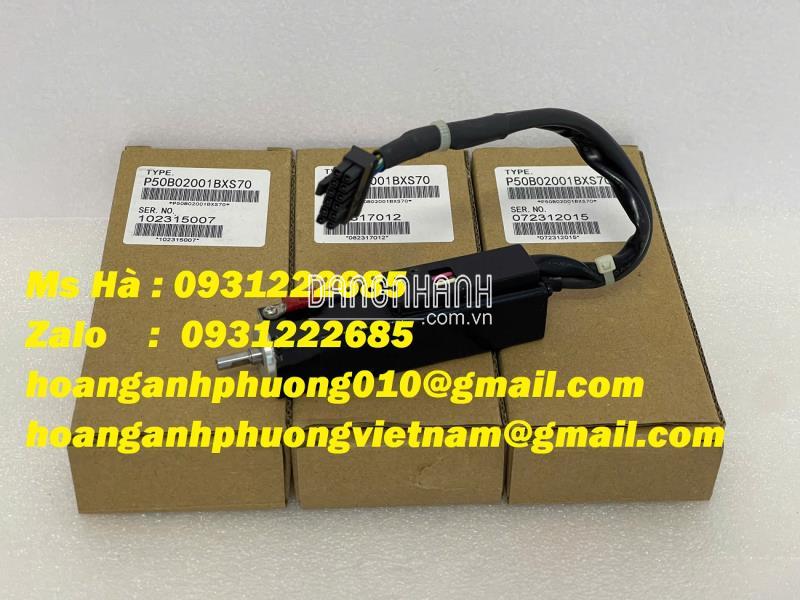Động cơ Sanyo denki P50B02001BXS70 nhỏ gọn, tiện lợi 
