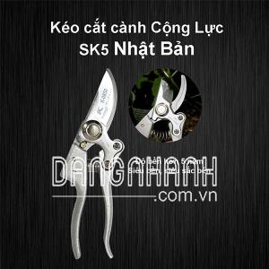 Kéo Cắt Cành Cộng Lực Lưỡi Thép SK5 Nhật Bản