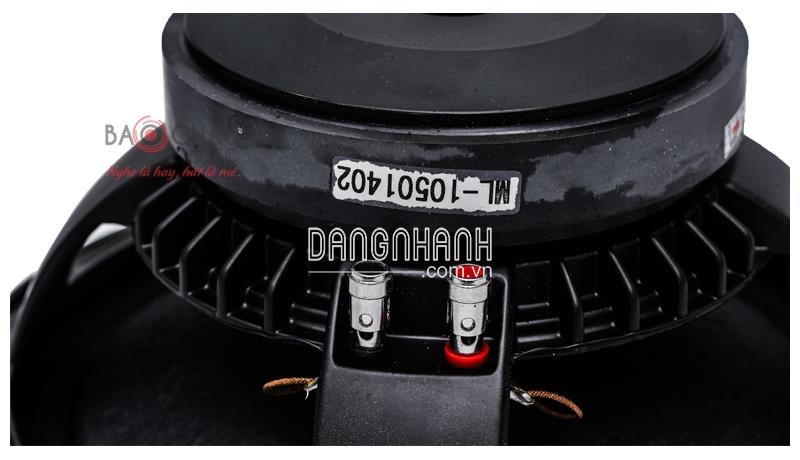 Loa karaoke Domus DP 6100 (full bass 25cm)