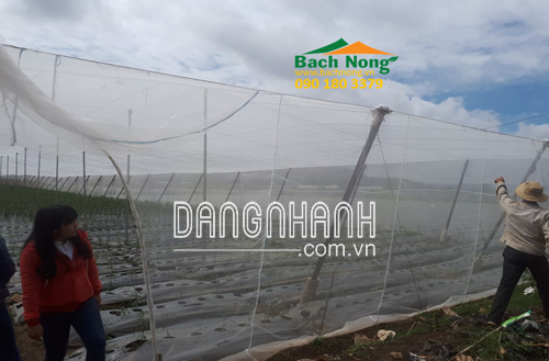 LƯỚI UV CHẮN CÔN TRÙNG