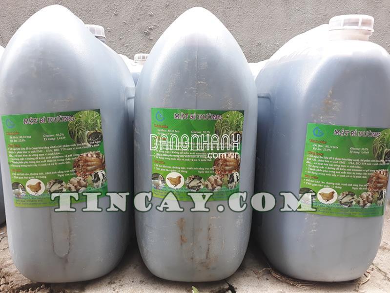 Mật Rỉ Đường (Rỉ Đường, Mật Đường)