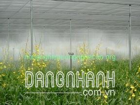 Béc Phun Sương 06mm, 50L/H 3.0bar - Mist Sprayer