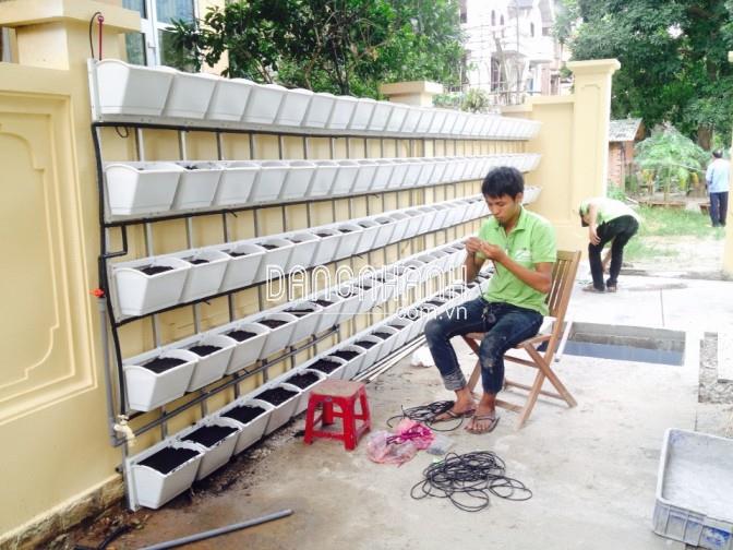 Hộp Nhựa/ Chậu Nhựa Trồng Cây Tường Đứng ( Modul tường đứng )