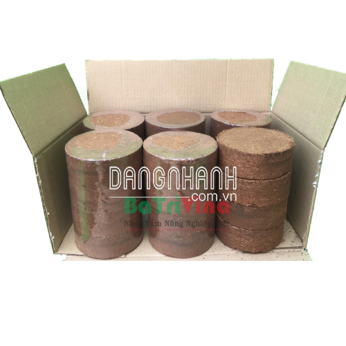 MỤN DỪA TRỒNG CÂY
