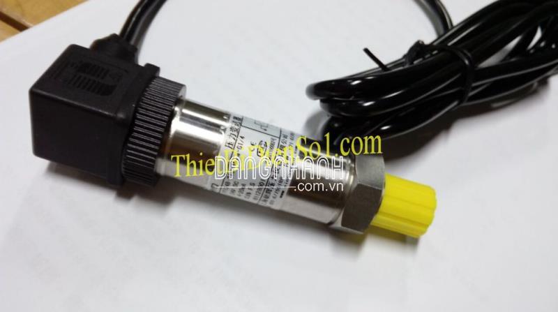 Cảm biến áp suất ZHYQ PT124B-210-40Mpa-M20 -Cty Thiết Bị Điện Số 1