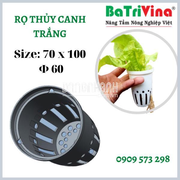 Rọ Thủy Canh Trắng (100 x 65 mm) (Φ 60)