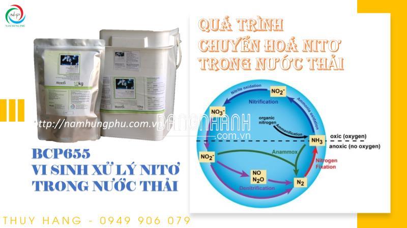 BCP655 men vi sinh xử lý amoni, nito, nitrate, nitrite trong nước thải (0949906079)