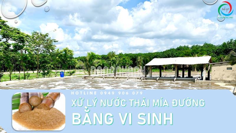 BCP56 men vi sinh xử lý nước thải mía đường (0949906079)