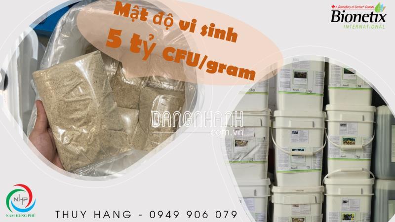 BCP655 men vi sinh xử lý amoni, nito, nitrate, nitrite trong nước thải (0949906079)