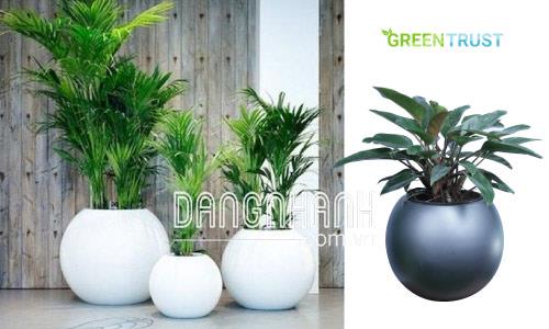 Chậu Composite tròn quả bóng CPL-080