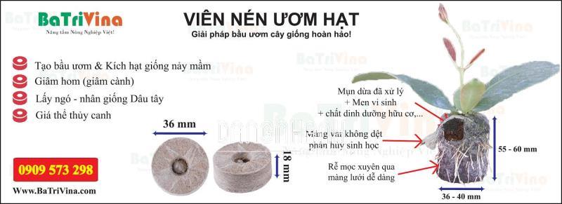 VIÊN NÉN ƯƠM HẠT
