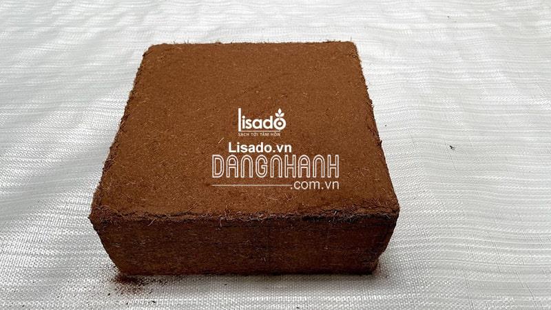 Mụn xơ dừa ép bánh Best Grow 300x300x150 mm đã qua xử lý, tiêu chuẩn xuất khẩu