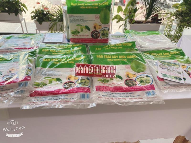 100 Bao bọc bưởi da xanh kích thước 30×35