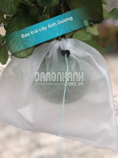 100 Bao bọc bưởi da xanh kích thước 30×35