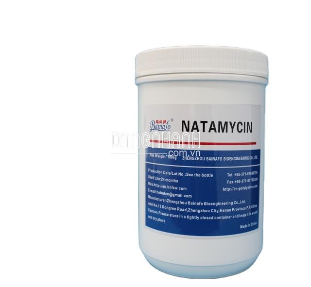 Natamycin E235 bảo quản chống nấm mốc cho thực phẩm