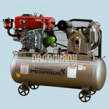 Máy nén khí chạy dầu Pegasus TM-W-1.0/8-330L