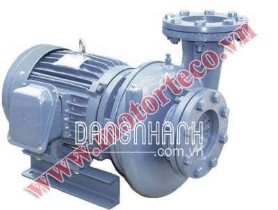 Máy bơm ly tâm dạng xoáy đầu gang 2HP TECO