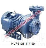 Máy bơm ly tâm dạng xoáy đầu gang Teco HVP350