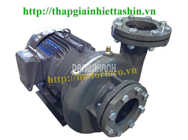Máy bơm ly tâm dạng xoáy đầu gang Teco HVP3100-17.5 40