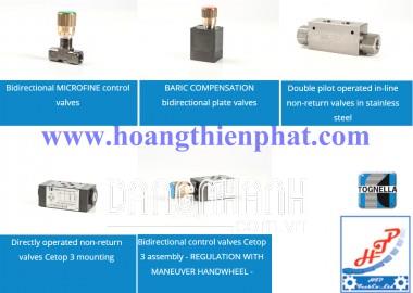 Van điều khiển lưu lượng Tognella