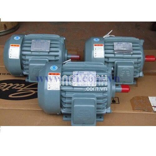 Động cơ HYOSUNG 22KW