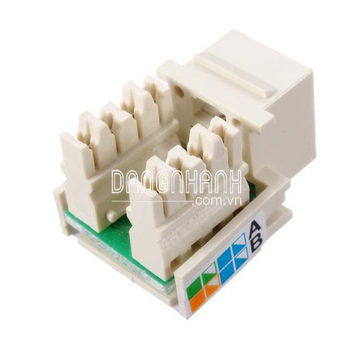 NHÂN CẮM MẠNG RJ45 CAT5E