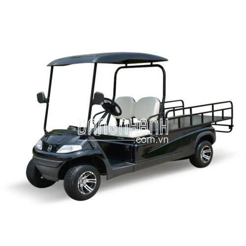 Xe điện chở hàng 2 chỗ LT-A627.2.H8