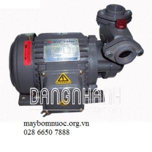 Máy Bơm Bánh Răng võ gang đầu gang 375W HCP 225-1.37 265T ( Có Rờ Le Nhiệt )