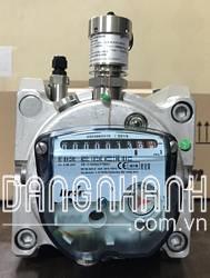 Đồng hồ gas ITRON- Delta Rotary Meter