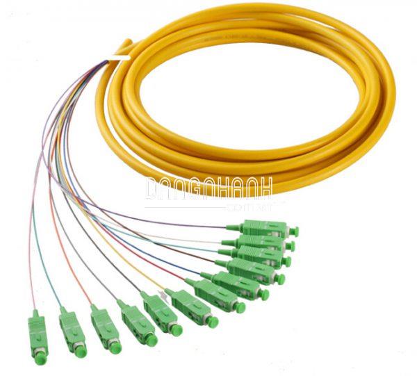 Dây fanout 12FO 25m