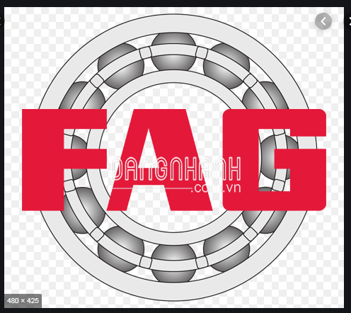 VÒNG BI FAG 6313 (BẠC ĐẠN FAG6313)