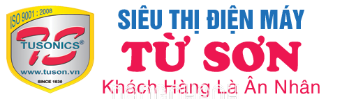 4500191293 - Công Ty TNHH Điện Tử - Tin Học Từ Sơn