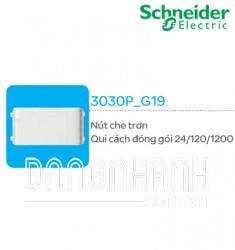 Nút che trơn thương hiệu Schneider (3030P_G19)
